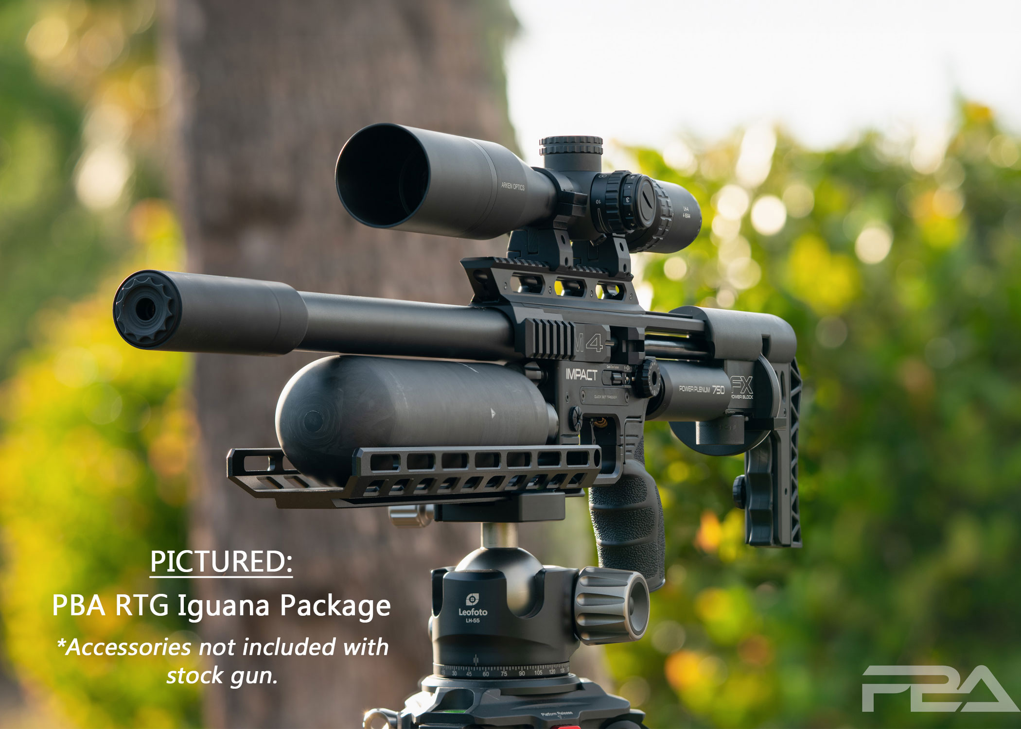 FX Impact M4 Standard Air Rifle