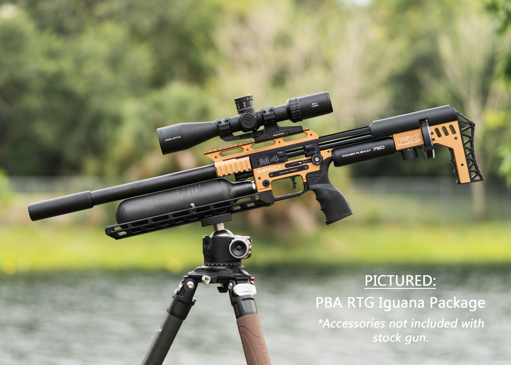 FX Impact M4 Standard Air Rifle