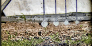 A Guide to Competitive 10m Air Rifle Shooting