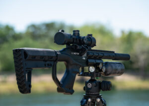 Best Air Guns To Hunt Iguanas – Pest Control