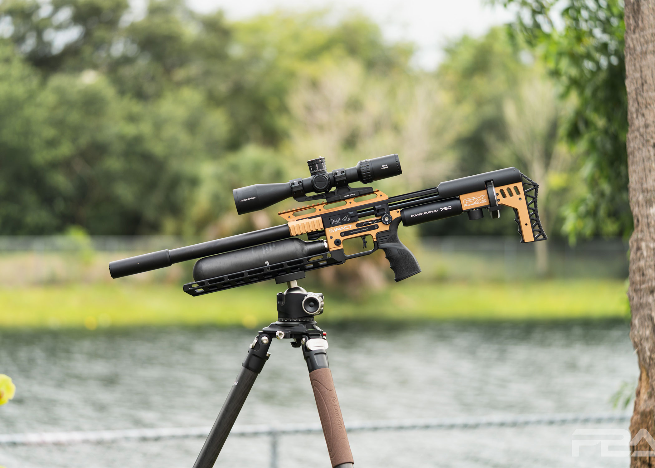 PBA Iguana Hunting Package RTG - FX Impact M4 Air Rifle