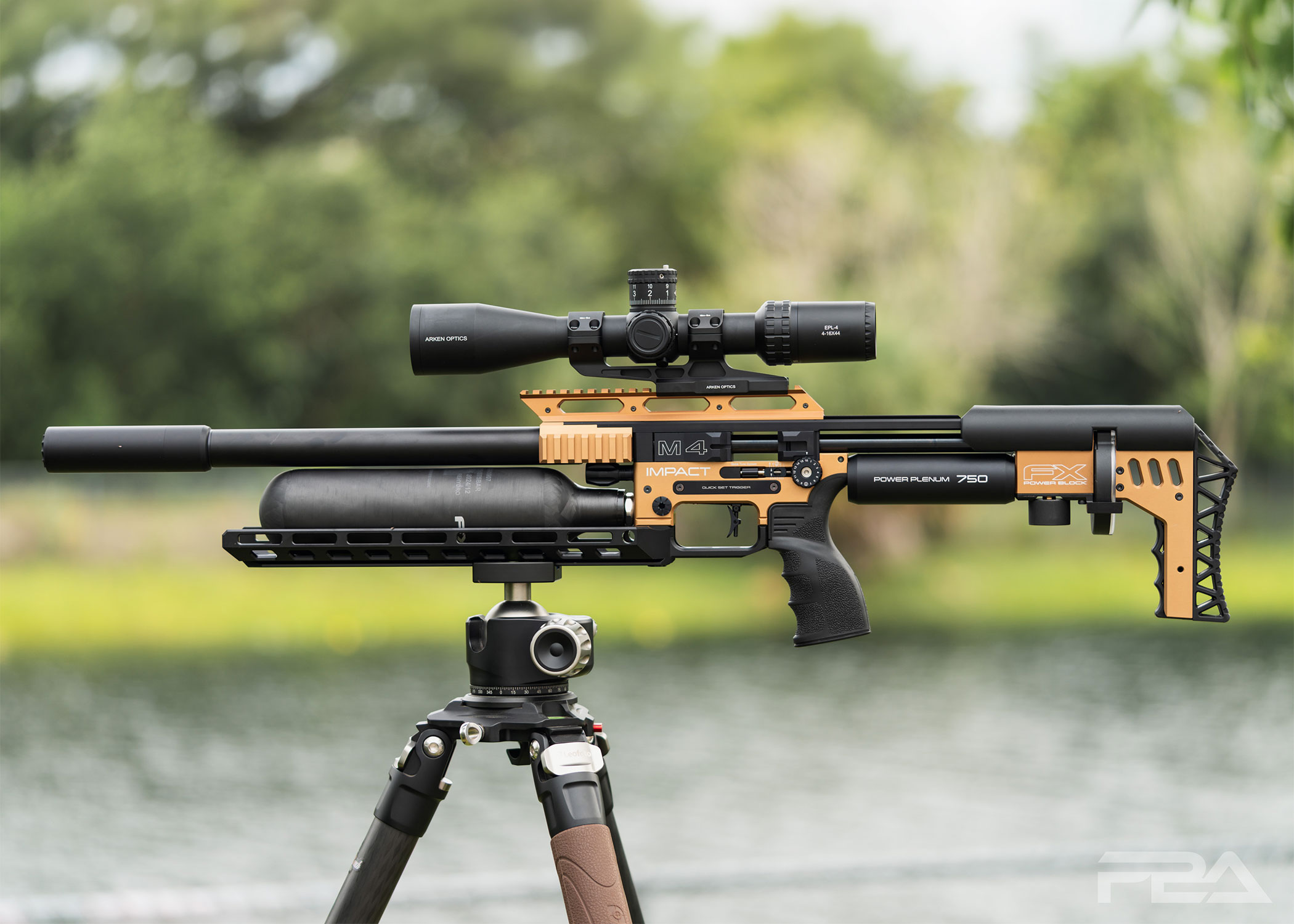 PBA Iguana Hunting Package RTG - FX Impact M4 Air Rifle