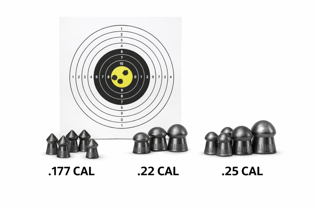 Best Caliber for Iguanas